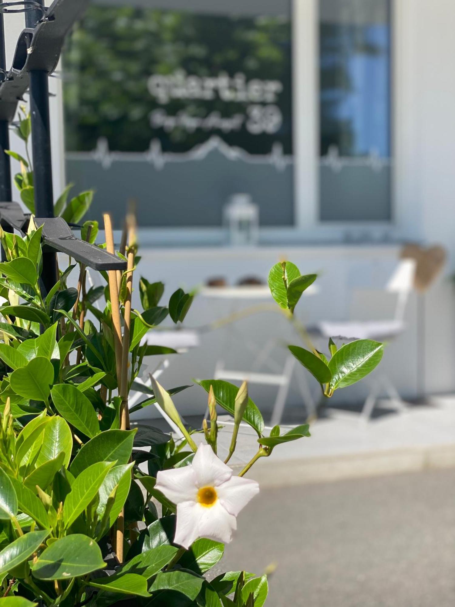 Quartier39 Apartment Sankt Johann in Tirol Ngoại thất bức ảnh